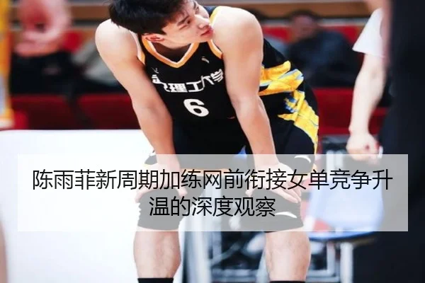 陈雨菲新周期加练网前衔接女单竞争升温的深度观察